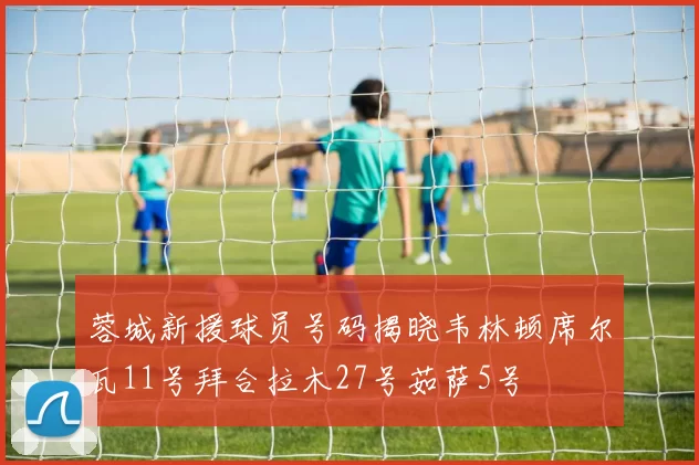 蓉城新援球员号码揭晓韦林顿席尔瓦11号拜合拉木27号茹萨5号